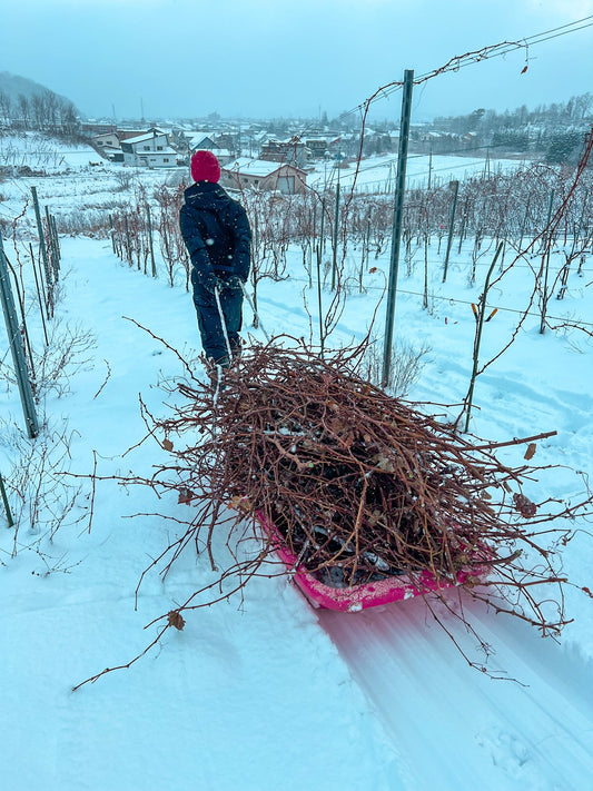 Japanese Wine 101: Climate - Hokkaido - Ashita no Wine